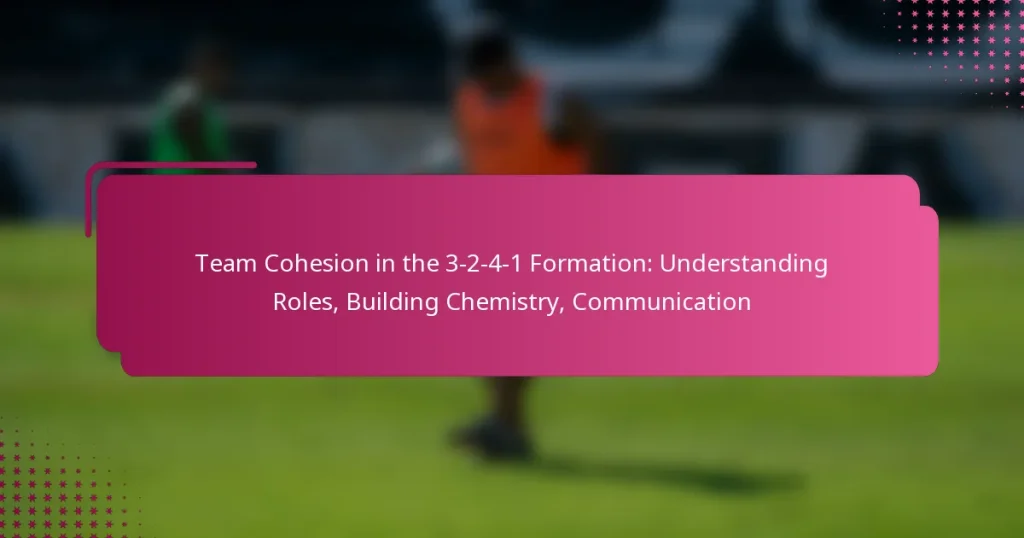 Team Cohesion in the 3-2-4-1 Formation: Understanding Roles, Building Chemistry, Communication
