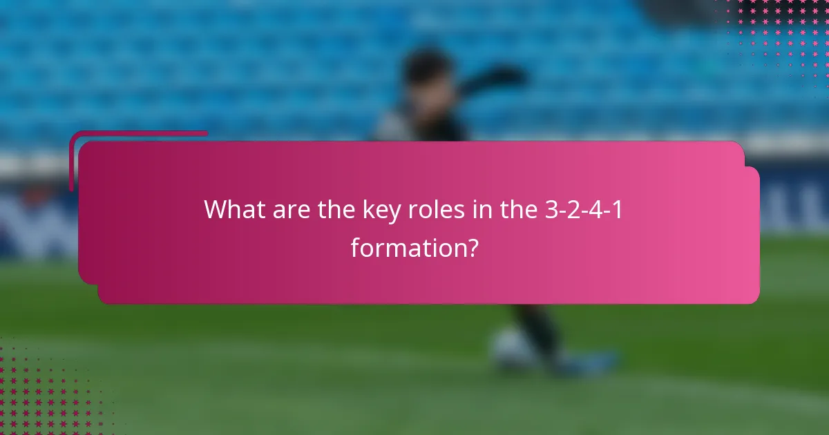 What are the key roles in the 3-2-4-1 formation?